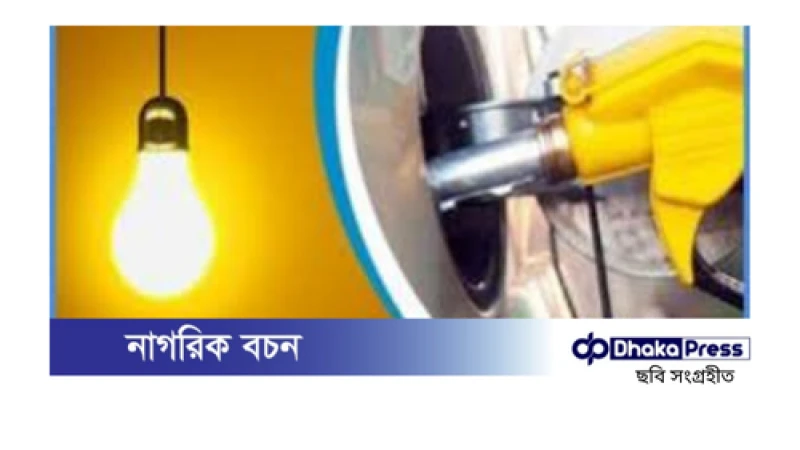 বিদ্যুৎ ও জ্বালানির বিশেষ বিধান আইন বাতিল, গেজেট প্রকাশিত