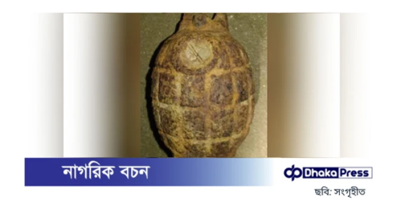 গ্রেনেড ভেবে গুপ্তধন লুকিয়ে রাখলেন কৃষক, ঘটল বিপত্তি