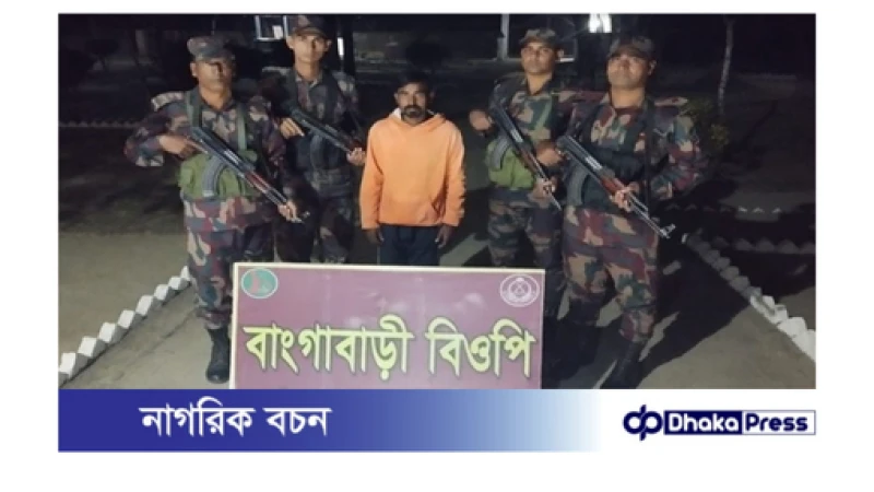 সীমান্ত দিয়ে অনুপ্রবেশের অভিযোগে ভারতীয় নাগরিক আটক