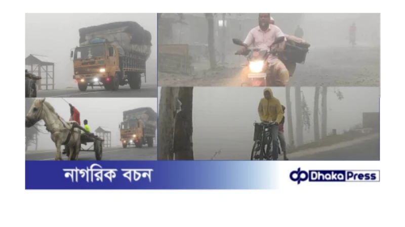 শীত-কুয়াশা-ঠান্ডার প্রকোপে কাঁপছে কুড়িগ্রাম, আছে শৈত্যপ্রবাহের পূর্বাভাস