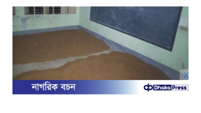 সরকারি প্রাথমিক বিদ্যালয়ের শ্রেনী কক্ষে  পাঠ দানের পরিবর্তে ধান শুকানোর ভিডিও  ভাইরাল