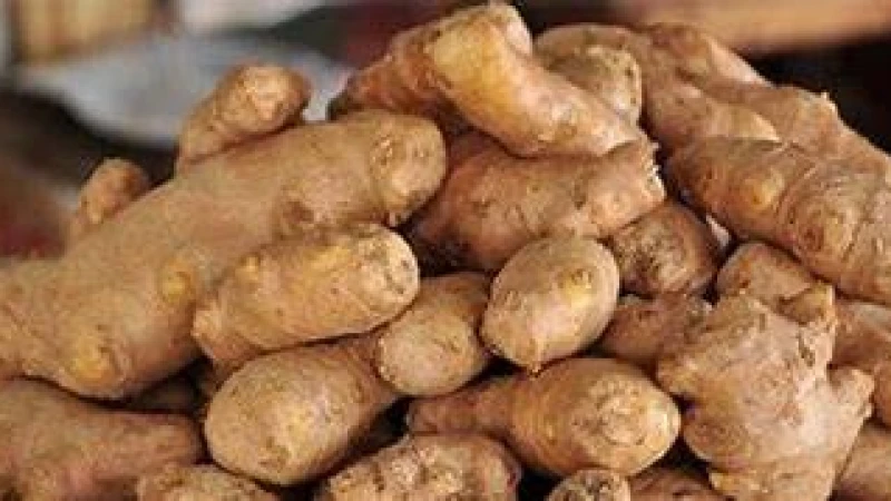 আমদানিতেও আদার দাম কমছে না কেজিতে বিক্রি ৪০০ টাকা