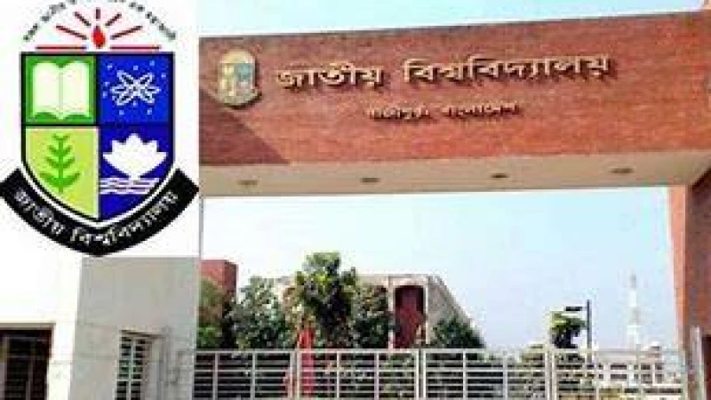 জাতীয় বিশ্ববিদ্যালয়ে চাকরি