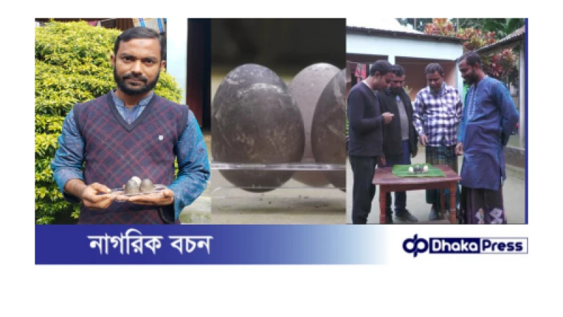 কুড়িগ্রামে কালো ডিম পেড়ে আবারো আলোচনায় পাতিহাঁস