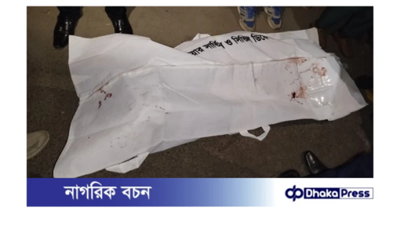 সাতক্ষীরার বিনেরপোতায় পরিবহনের চাকায় পিষ্ট হয়ে আলম সাধু চালক নিহত