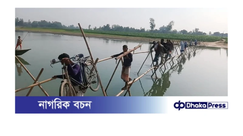 পলাশবাড়ীতে ৫ গ্রামের মানুষের একমাত্র ভরসা বাঁশের সাঁকো