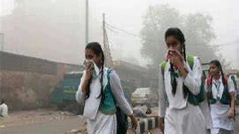 জলবায়ু পরিবর্তন : ৫০ বছরে ২০ লাখ মানুষের মৃত্যু