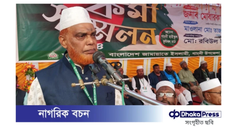 আওয়ামী লীগ লুটপাট করে দেশের সবকিছু শূন্য করে দিয়েছে: মোবারক হোসাইন