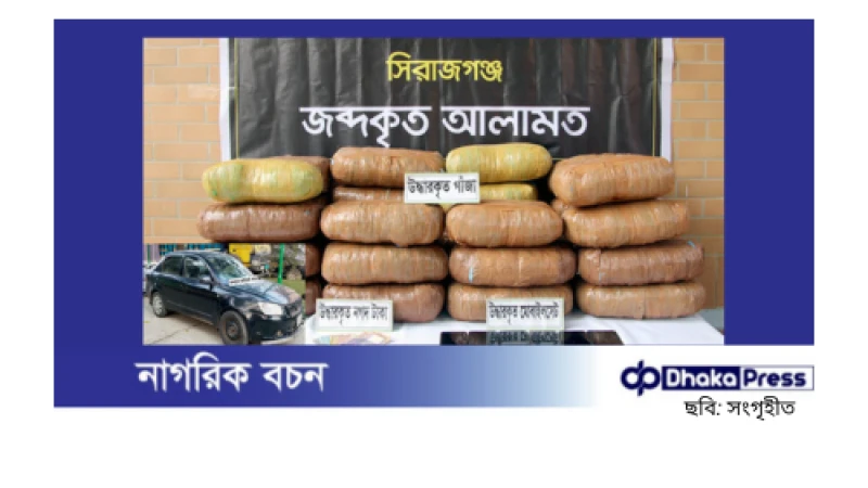 র‌্যাব-১২ এর অভিযানে বিপুল গাঁজাসহ ৪ মাদক কারবারি গ্রেপ্তার