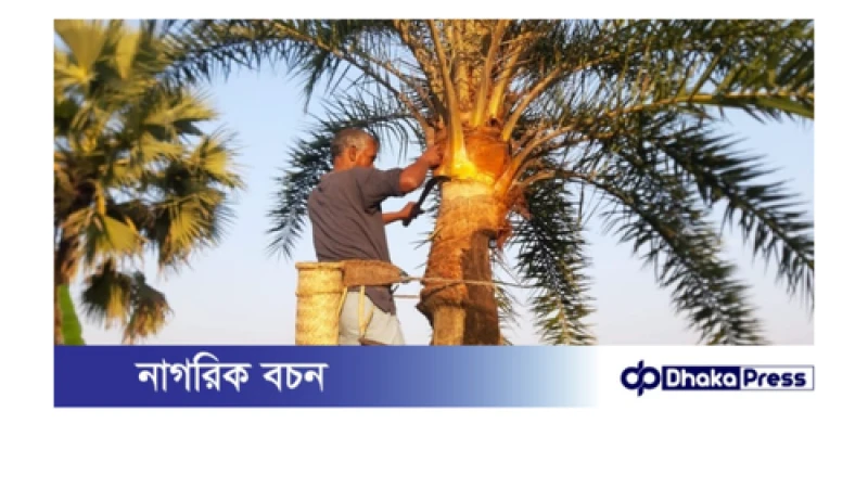 বিলুপ্তির পথে খেজুর রসের ঐতিহ্য ও শীতের আয়োজন