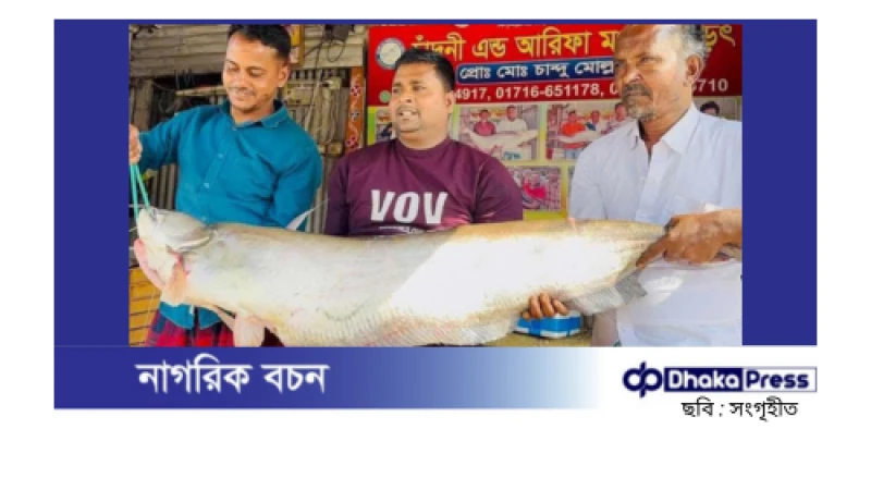 ১৮ কেজি ওজনের এক বোয়াল ৫২ হাজার ২০০ টাকায় বিক্রি