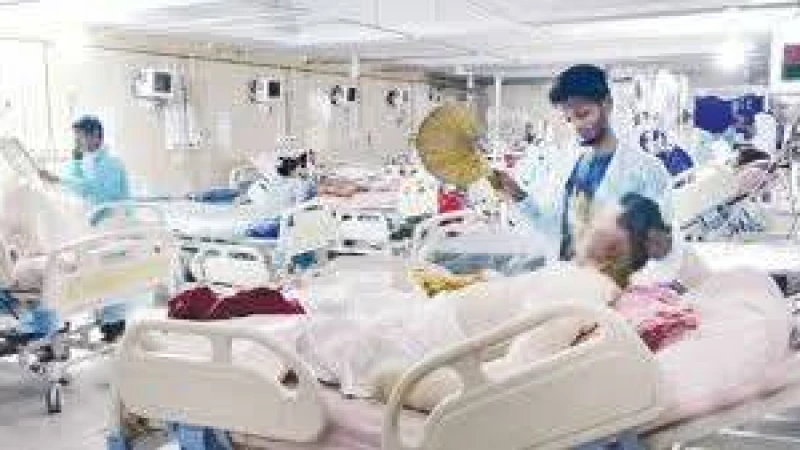 জোলাভাতি রান্না করতে গিয়ে অগ্নিদগ্ধে কিশোরী ফারজানার মৃত্যু