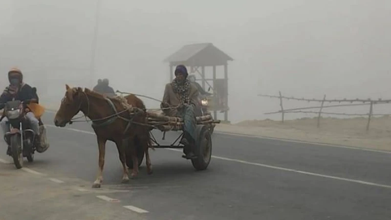 ২০২৫ সালের সূর্য দেখে নি কুড়িগ্রামের মানুষ, শীতে জবুথবু 