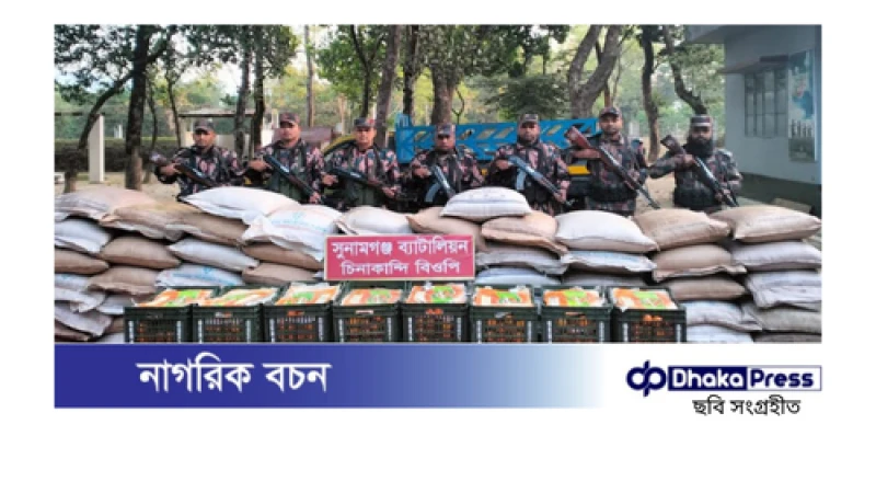 সীমান্তে ৩১ লাখ টাকার ভারতীয় পণ্য জব্দ