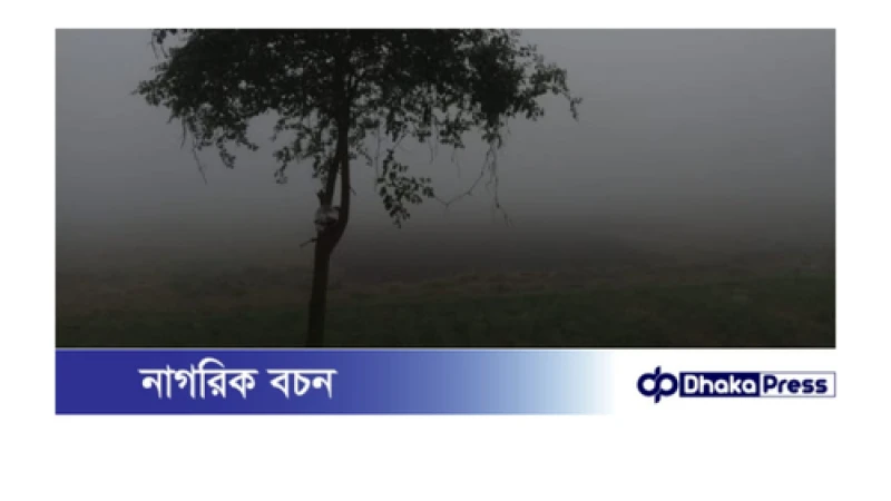  ঢাকা ধামরাই ওপর দিয়ে বইছে মৃদু শৈত্যপ্রবাহ; 