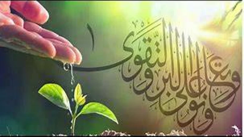 যেসব উপায়ে ভালো কাজের তাওফিক মেলে