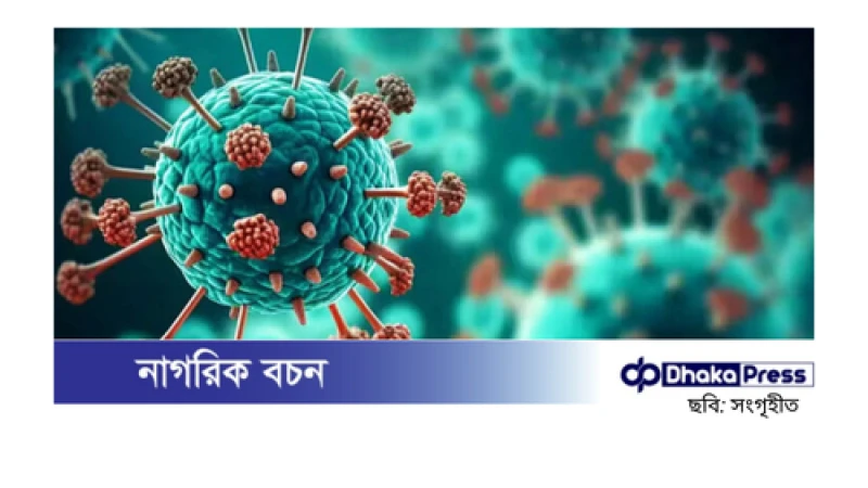 এইচএমপিভি ছড়িয়ে পড়ছে, ভারতে সতর্কতা জারি