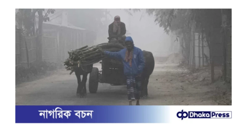 গুঁড়িগুঁড়ি কুয়াশা বৃষ্টির মধ্যে বেঁচে থাকার লড়াইয়ে কুড়িগ্রামের নিম্ন এবং স্বল্প আয়ের মানুষ।