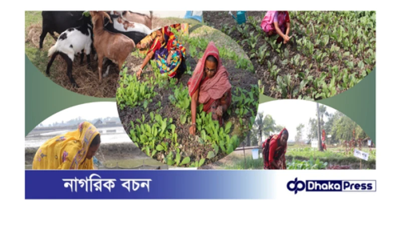 ছাগল ভেড়া পালন ও সবজি চাষে প্রান্তিক নারীদের ভাগ্য বদল