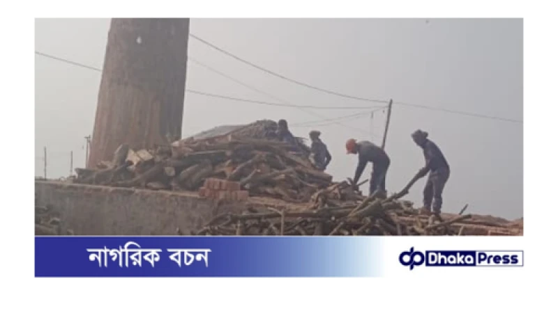 সাতক্ষীরা শ্যামনগরে লাইসেন্স বিহীন ইটভাটায় পুড়ছে কাঠ কালো ধোয়ায় অতিষ্ঠ বসতি এলাকা