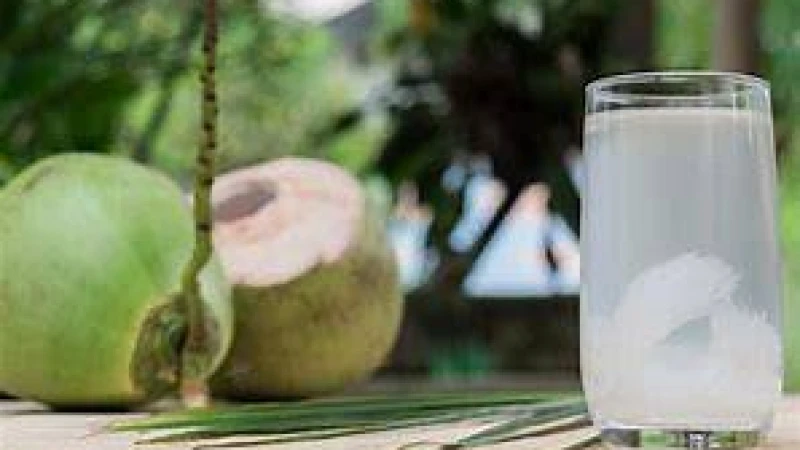 গরমে ডাবের পানিতে মিলবে স্বস্তি