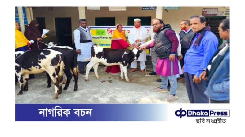 বাছুর দেওয়ার প্রতিশ্রুতি, ফটোসেশন আর খিচুড়ি: প্রকল্পে অনিয়মের অভিযোগ