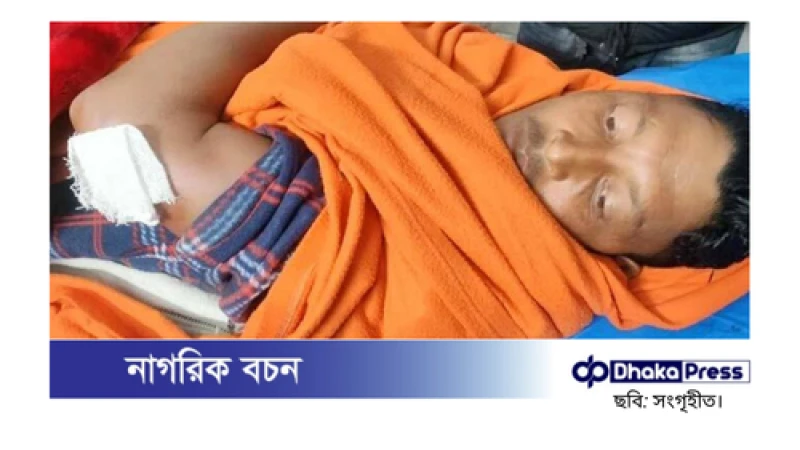রাজবাড়ীতে প্রতিবাদ সমাবেশ থেকে ফেরার পথে যুবদল কর্মী গুলিবিদ্ধ