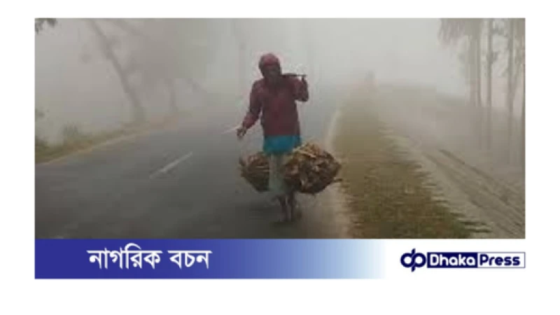 শীতে কাঁপছে পঞ্চগড়, তাপমাত্রা নেমে ৭ ডিগ্রির ঘরে