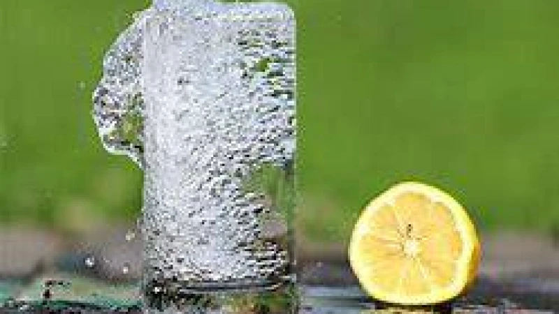 ত্বকের জেল্লা বাড়াবে যেসব পানীয়