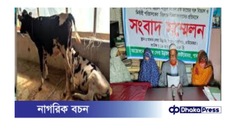 আলোচিত ফটোসেশনের পর হতদরিদ্র ১০ নারী পেলেন বাছুর