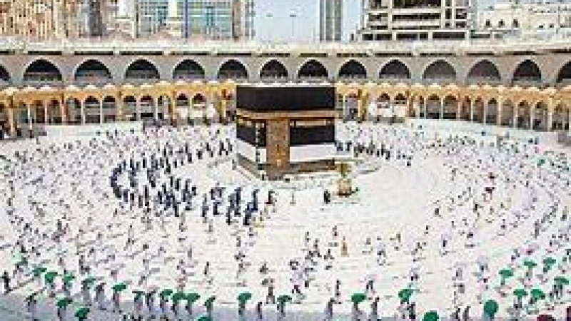 লাব্বাইক ধ্বনির ভালোবাসা