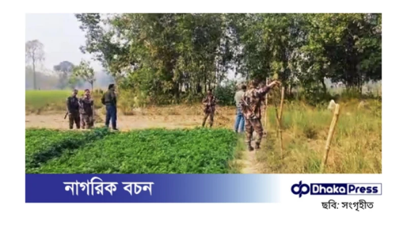 সীমান্তে কাঁটাতারের বেড়া নির্মাণের চেষ্টা, বিএসএফের বিরুদ্ধে অভিযোগ