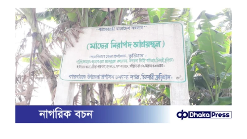 চিলমারীতে সরকারী মৎস্য অভয়াশ্রমে অনুমতি ছাড়া মাছ ধরার অভিযোগ উঠেছে 