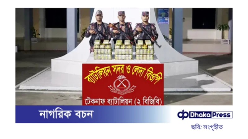 সাড়ে চার লাখ ইয়াবা ফেলে পালালেন পাচারকারীরা