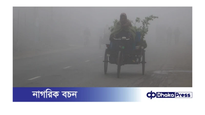 বৃষ্টির মতো ঝড়ছে কুয়াশা, শীতে বিপর্যস্ত উপত্যকা কুড়িগ্রাম 