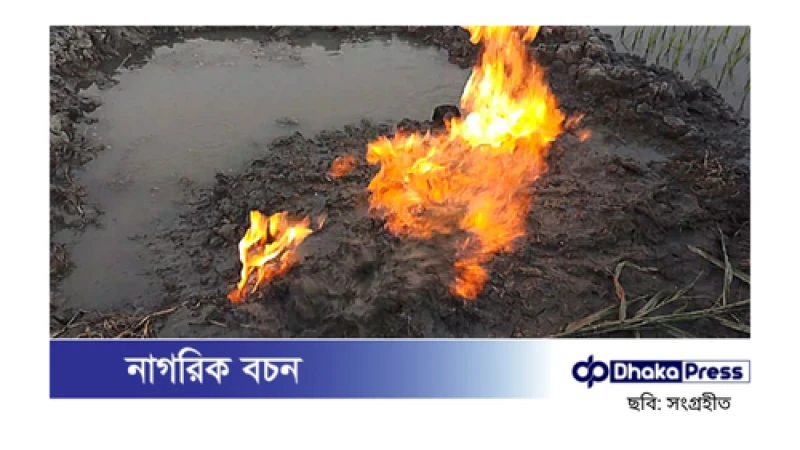 সাতক্ষীরায় ধানখেতে গ্যাস উদগীরণ, এলাকায় চাঞ্চল্য