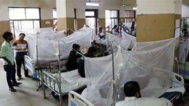 মুগদা মেডিকেলে ডেঙ্গু আক্রান্ত অর্ধেক রোগী একটি এলাকার