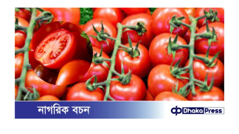 টমেটো সতেজ রাখার টিপস