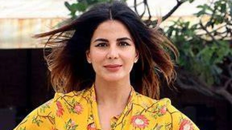 আর সিরিজ নয়, এবার সিনেমা: কৃতি কুলহারি