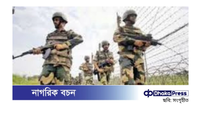 নওগাঁর সাপাহার সীমান্তে গরু আনতে গিয়ে বিএসএফ-এর হাতে আটক বাংলাদেশি