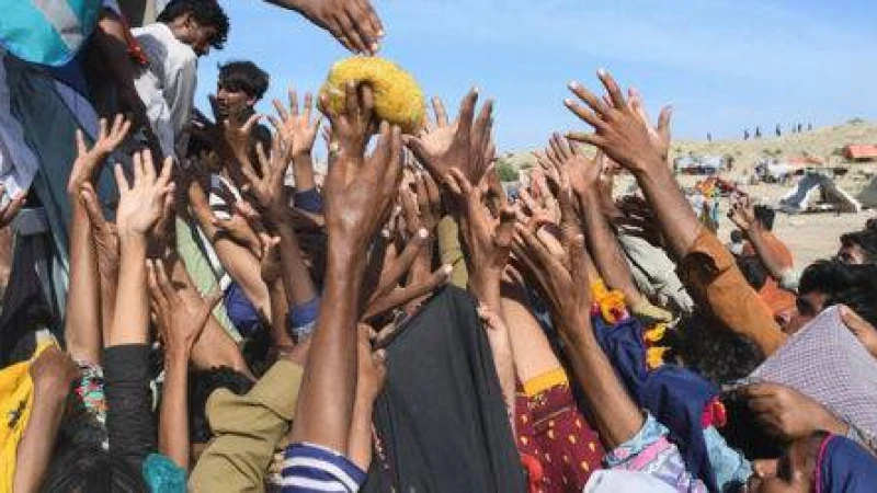 কেন বিশ্বের ৮০ কোটিরও বেশি মানুষ ক্ষুধার্ত?