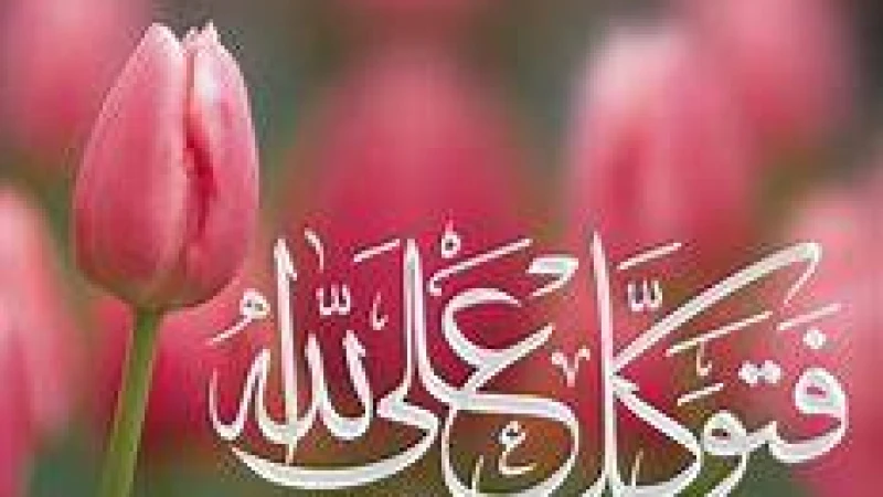 কর্মসংস্থান সৃষ্টি বেশি সওয়াবের কাজ