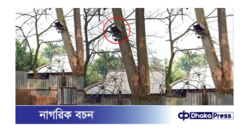 ভারত বাংলাদেশ সীমান্তের শূন্যরেখায় সিসি ক্যামেরা বসালো বিএসএফ
