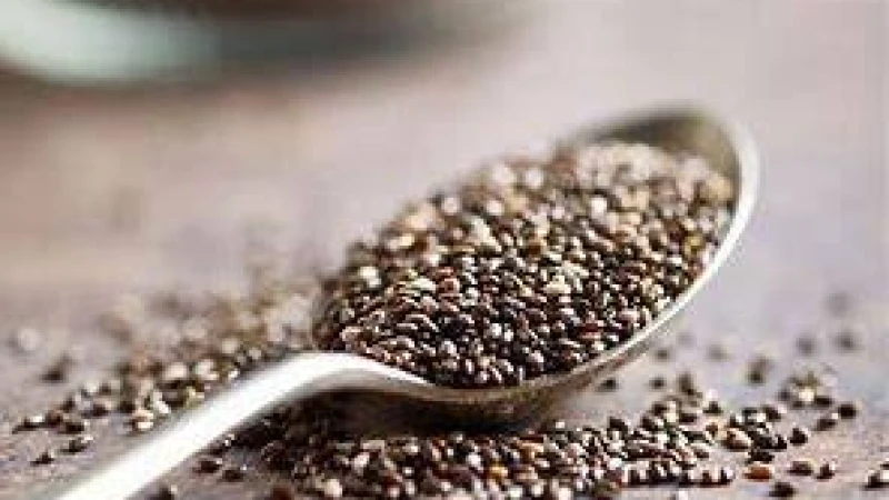 সুপারফুড চিয়া সিড