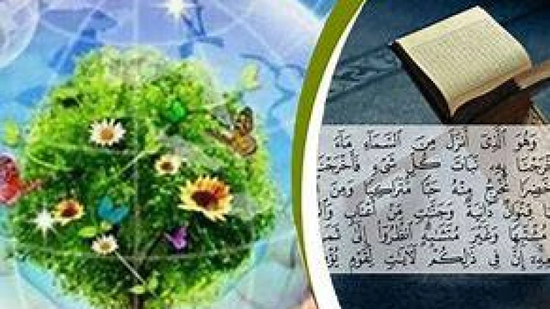 পরিবেশের ভারসাম্য রক্ষায় ইসলামের নির্দেশনা