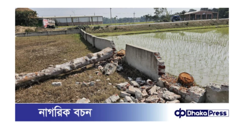 নওগাঁর পত্নীতলায় দেয়াল ভেঙে গাছ কেটে নিয়ে যাওয়ার অভিযোগ 