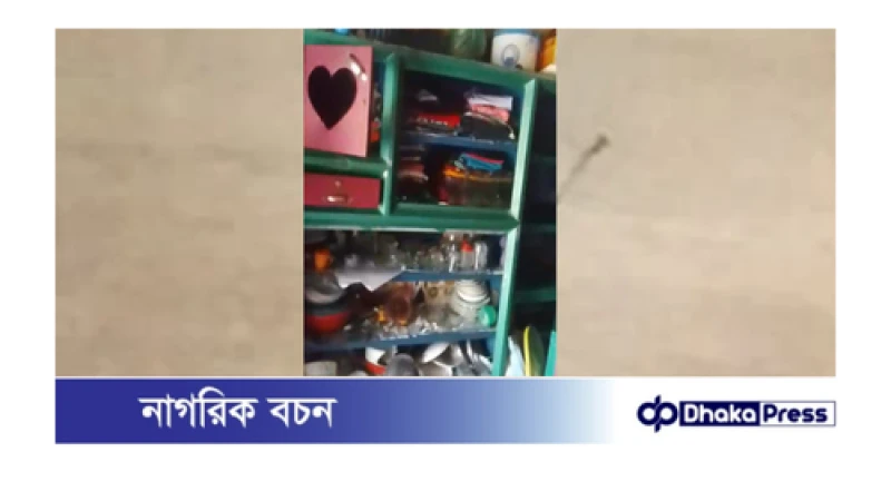 ব্রাক্ষণপাড়ায় প্রবাসী বাড়ী ভাংচুর অগ্নি সংযোগ লুটপাট 
