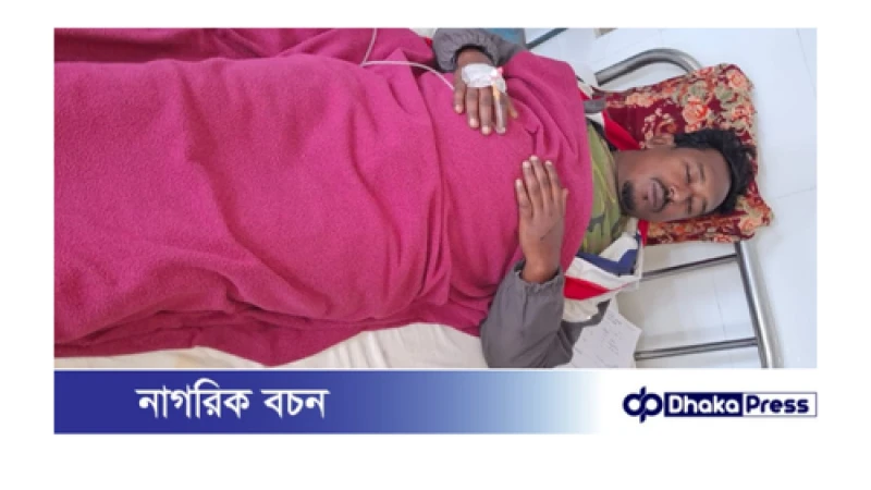 চারঘাটে পাথর ভর্তি ট্রাকের ধাক্কায় ভ্যানচালকসহ ৫ জন জেলে আহত