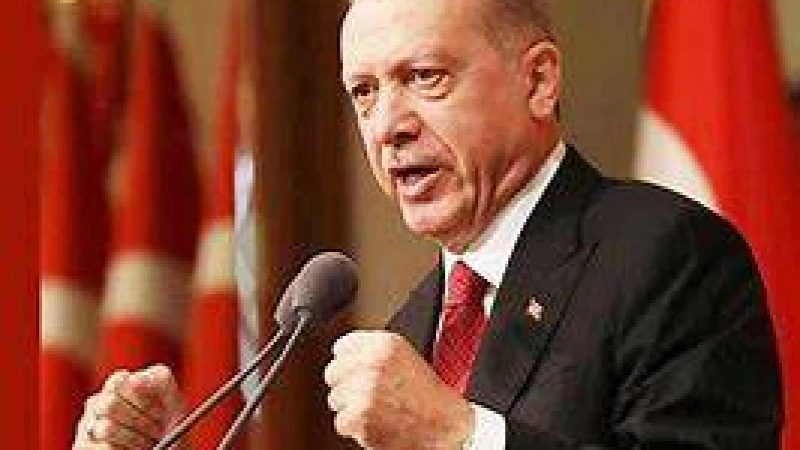 এরদোয়ানের ডাক জাতীয় ঐক্যের