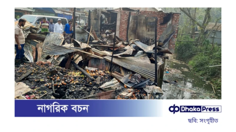 মতলবে অগ্নিকাণ্ডে পুড়লো ১২ দোকান, ক্ষতি প্রায় কোটি টাকা